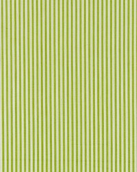 Kent Stripe Pear by   