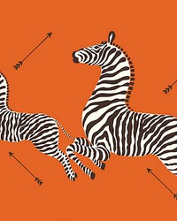 Zebras Orange by   