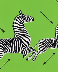 Zebras  Wallpaper Limelight by   