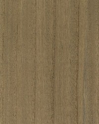 Woodgrain Driftwood by  Scalamandre Wallcoverings 