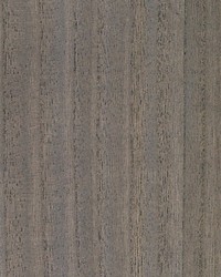 Woodgrain Weathered Teak by  Scalamandre Wallcoverings 