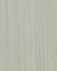 Woodgrain Willow by  Scalamandre Wallcoverings 