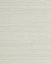 Savanna Seedling Greige by  Scalamandre Wallcoverings 