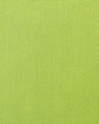Toscana Linen Lime by   