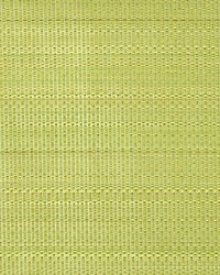 Paso Horsehair Chartreuse by   