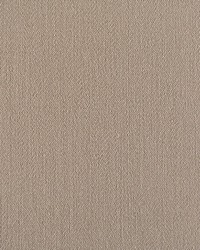 Rio Taupe by   