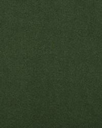 Solstice Velvet Evergreen by   