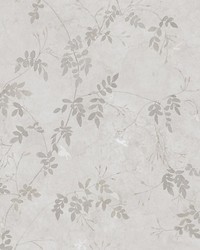 Irene Sandstone by  Scalamandre Wallcoverings 