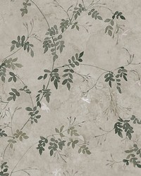 Irene Olive Green by  Scalamandre Wallcoverings 