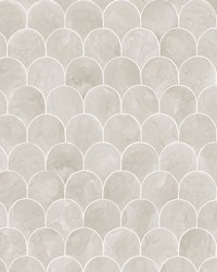 Igor Sandstone by  Scalamandre Wallcoverings 