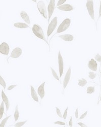 Belle Sheer Grey by  Scalamandre Wallcoverings 