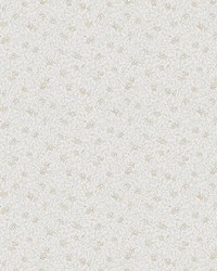 Stella Sandstone by  Scalamandre Wallcoverings 