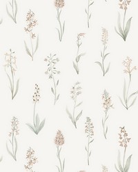 Alma Blush by  Scalamandre Wallcoverings 