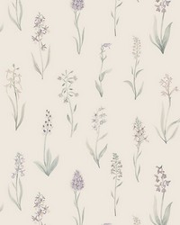 Alma Lilac by  Scalamandre Wallcoverings 