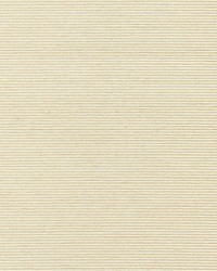 Ventura Creme by  Scalamandre Wallcoverings 