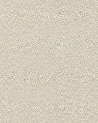 Veneto Creme by  Scalamandre Wallcoverings 