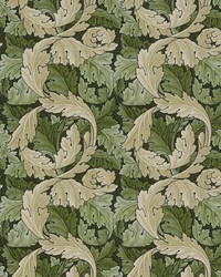 7859 Acanthus 4 Moss by   