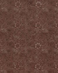 7864 Marigold Velvet 1 Merlot by   