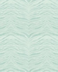 SKIN 5 TURQUOISE by   