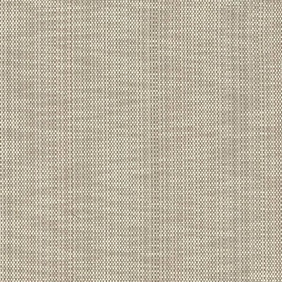 Kasmir Avino Birch in 5092 Brown Upholstery Cotton  Blend Fire Rated Fabric