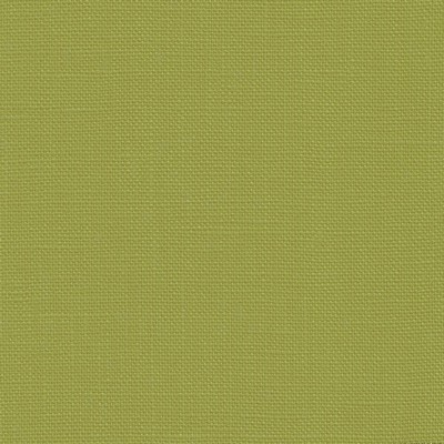 Kasmir Belgique Fern in 1408 Green Linen  Blend Fire Rated Fabric 100 percent Solid Linen   Fabric