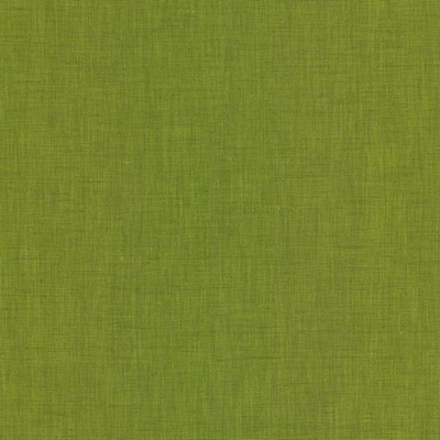 Kasmir Brussels Grass in 5117 Green Upholstery Polyester  Blend