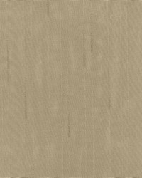 Burnished Stripe Taupe by   