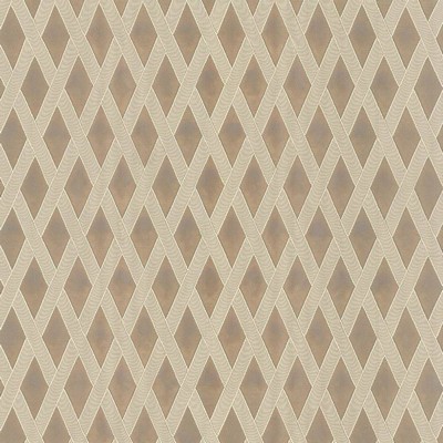 Kasmir Classic Trellis Fawn in TAG-A-LONGS VOL 10 Brown Upholstery Polyester  Blend Fire Rated Fabric