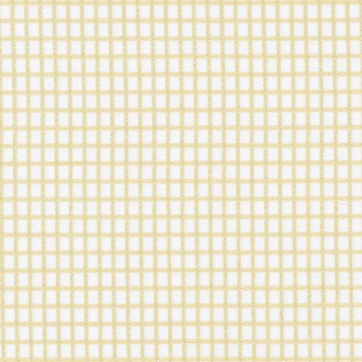 Kasmir Concise Sand in SHEER SIMPLICITY Beige Polyester  Blend Fire Rated Fabric NFPA 701 Flame Retardant  Plaid and Tartan  Fabric