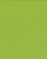 Debonair Lime Green by   