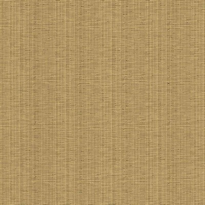 Kasmir Kensli Nugget in 5093 Gold Upholstery Cotton  Blend Fire Rated Fabric