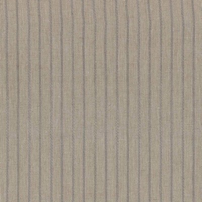 Kasmir Lane Stripe Putty in 5035 Beige Polyester  Blend Crewel and Embroidered   Fabric