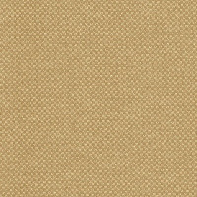 Kasmir Paquin Harvest in 5093 Yellow Upholstery Cotton  Blend Fire Rated Fabric