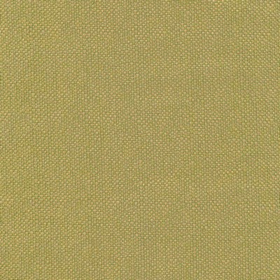 Kasmir Pave Io Frond in 1413 Brown Upholstery Acrylic  Blend Fire Rated Fabric