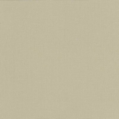 Kasmir Pirouette Beige in 5054 Beige Upholstery Polyester  Blend Fire Rated Fabric