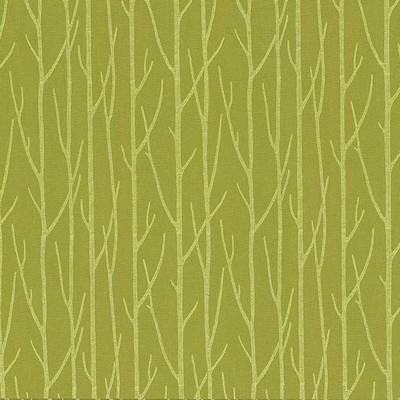 Kasmir Timberline Pistachio in 1429 Green Polyester  Blend Crewel and Embroidered  Vine and Flower   Fabric