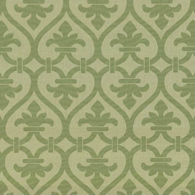 Kasmir Triomphe Fern in 1423 Green Upholstery Cotton  Blend Fire Rated Fabric Vine and Flower   Fabric