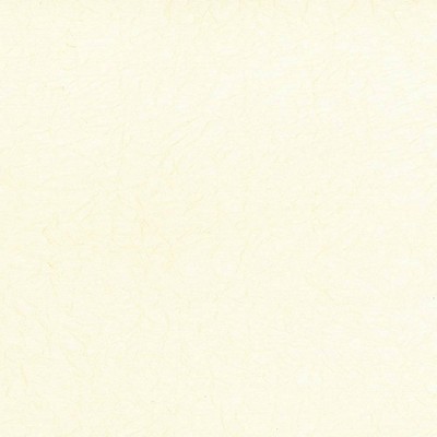 Kasmir Wrinkle In Time Vanilla in 5047 Beige Upholstery Polyester  Blend Fire Rated Fabric NFPA 701 Flame Retardant   Fabric