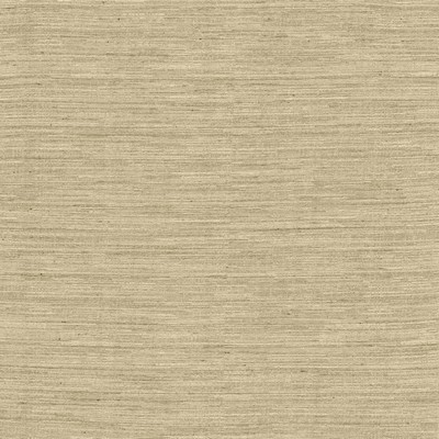 Kasmir Aegean Natural in 5150 Beige Polyester  Blend Solid Faux Silk   Fabric