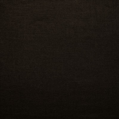 Kasmir Brandenburg Black Black Linen
45%  Blend Fire Rated Fabric Medium Duty CA 117  NFPA 260  Solid Color Linen  Fabric