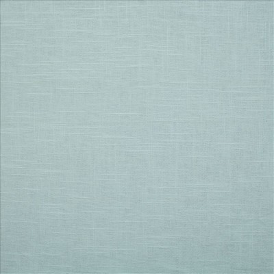 Kasmir Brandenburg Sky Blue Linen
45%  Blend Fire Rated Fabric Medium Duty CA 117  NFPA 260  Solid Color Linen  Fabric