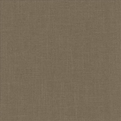 Kasmir Brigadoon Flint Gray Linen
45%  Blend Fire Rated Fabric Heavy Duty CA 117  NFPA 260  Solid Color Linen  Fabric