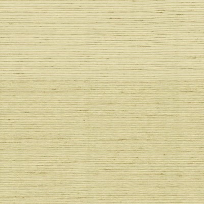 Kasmir Burke Cotton in 5163 Drapery Polyester  Blend Solid Faux Silk  NFPA 701 Flame Retardant  Flame Retardant Drapery   Fabric