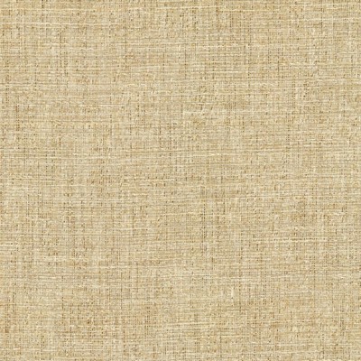 Kasmir Evangeline Sisal in 1461 White Polyester
19%  Blend Fire Rated Fabric Heavy Duty CA 117  NFPA 260   Fabric
