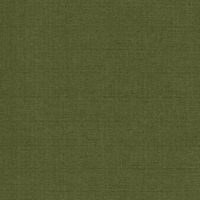 Kasmir Flynn Pine in 5164 Green Upholstery Polyester  Blend High Wear Commercial Upholstery CA 117  NFPA 260  Solid Green   Fabric