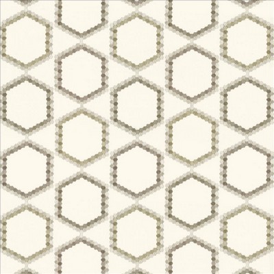 Kasmir Juvenescent Marble in 1470 White Cotton
48%  Blend Fire Rated Fabric Geometric  Crewel and Embroidered  Light Duty CA 117  NFPA 260   Fabric