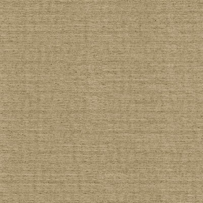Kasmir Sotto Natural in 5126 Beige Multipurpose Polyester  Blend Fire Rated Fabric Heavy Duty Solid Faux Silk   Fabric