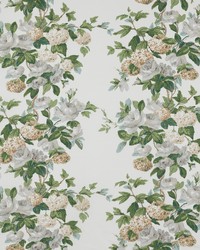 Rose and Hydrangea Dove and Fern 11469-03 by  Cowtan and Tout 