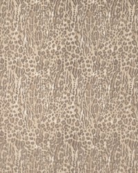 Leopardo Teak 11621-01 by  Cowtan and Tout 