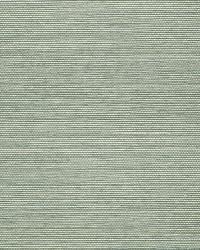 ONNA SISAL AQUA by  Schumacher Wallpaper 